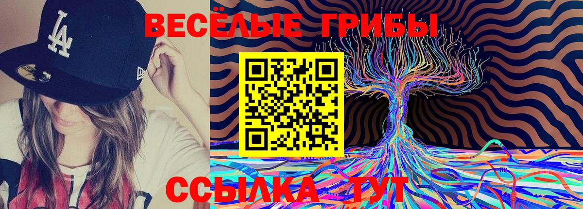 Галлюциногенные грибы Magic Shrooms Карпинск