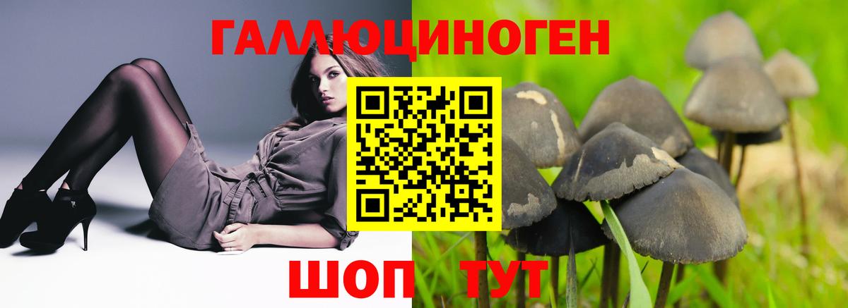 Псилоцибиновые грибы GOLDEN TEACHER  Галлюциногенные грибы Magic Shrooms  сколько стоит  Вход с VPN  Карпинск 